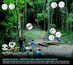 Arboriculture Rigging Scott Fraser
