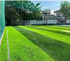 Pe Futsal Ground Artificial Grass For