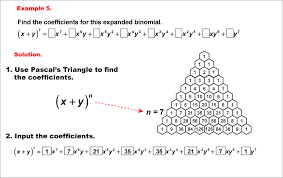 Math Example Polynomial Concepts