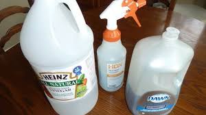 Best Soap Scum Remover Diy Solutions