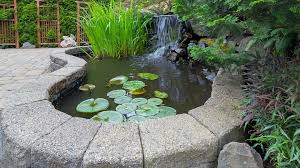 How To Make An Above Ground Pond That