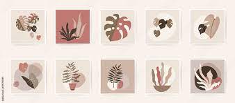 Natural Botanical Wall Art Posters