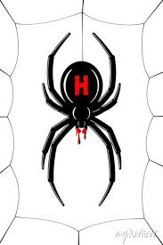 Spider Black Widow Cobweb Red Black