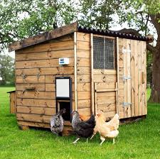Handmade Wooden En Coop Uk