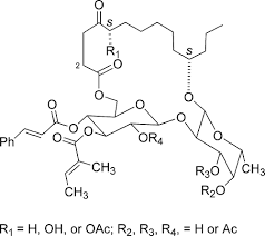 Cyxic Macrocyclic Glycoresins