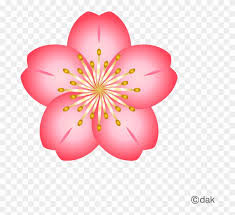 Cherry Blossom Flower Icon