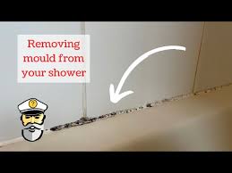 Remove Mould From Your Shower