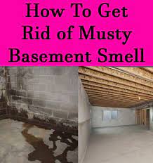 Basement Basement Odor Musty Smell