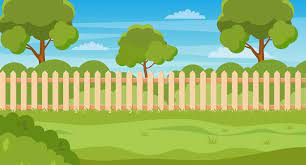 Vector Garden Backyard With Wooden Fence