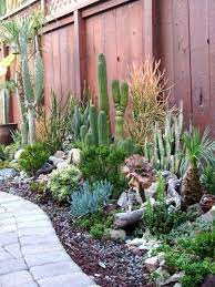 Outdoor Succulent Garden Ideas