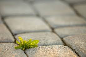 A Gap Between Paving Slabs