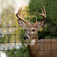 The Largest Tenax Fence Supplier In The