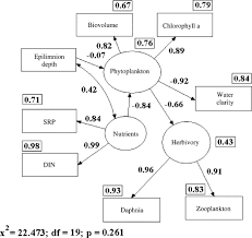 Structural Equation Modeling