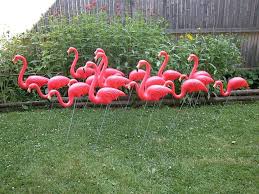 Plastic Pink Flamingos History