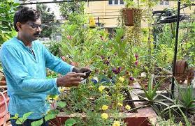 Tirupati Resident Turns Terrace Into