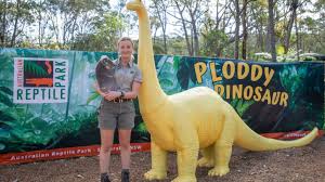 Mini Ploddy At Australian Reptile Park