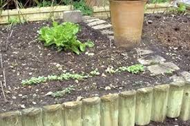 Wooden Hurdles Idea For Raised Beds