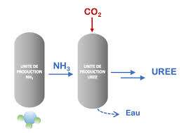 L Ammoniac Liquide Un Carburant Vert