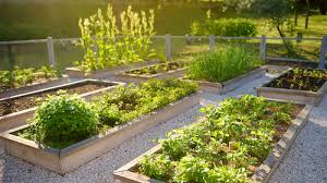 Sustainable Gardening Practices For A