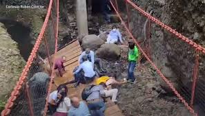 suspension bridge collapse puts damper