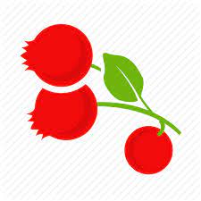 Colour Cranberries Cranberry Currant