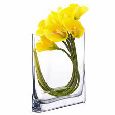 Rounded Rectangular Glass Vases