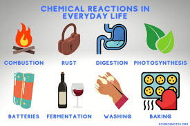 Chemical Reactions In Everyday Life