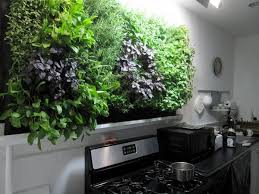 Inspiration Vertical Gardens In Small