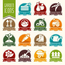Nuts Icon Set Stock Vector By Erryan