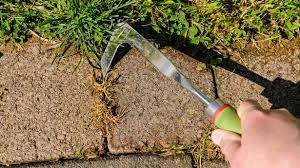 Kill Weeds Fast With Powerful