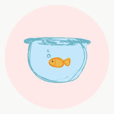 Gold Fish Story Highlights Icon For