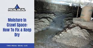Moisture In Crawl Space How To Fix