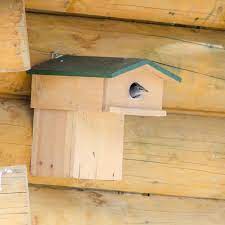Starling Nest Box With Balcony Cj