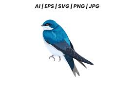 Tree Swallow Bird Vector Graphic By