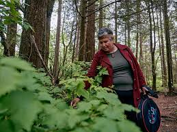 Invasive Species In Stanley Park