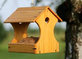 12 Homemade Bird Feeders Ideas You Must