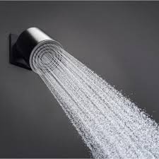 Wall Mounted Shower Head Hansgrohe