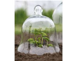 Victorian Style Glass Bell Jar Small