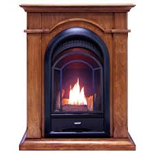 Procom Fs100t Ta Ventless Fireplace System 10k Btu Duel Fuel Thermostat Insert And Toasted Almond