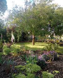 Taranaki Fringe Garden Festival