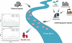 Riverine Hydrochemical Characteristics