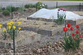 Vegetable And Flower Garden Ideas