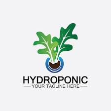 Premium Vector Hydroponic Logo Vector