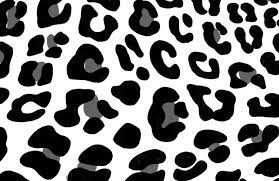 Black White Leopard Print Wallpaper