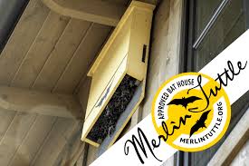 Selecting A Quality Bat House Merlin
