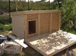 Diy Dog House Plans Outdoor Cat House