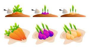 Page 3 Vegetable 3d Icon Images