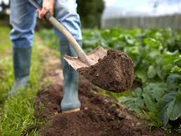 To Dig Your Garden Garden Tips 2023