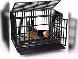 Dog Crate Best Dog Crates For Security