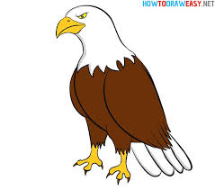 How To Draw An Eagle Eagle Drawing